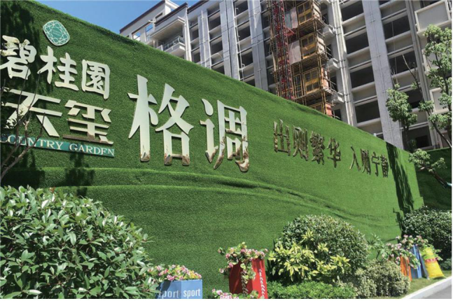 点击打开原图
