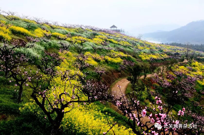 这边风景独好——长兴城山沟的现代休闲农业发展之路